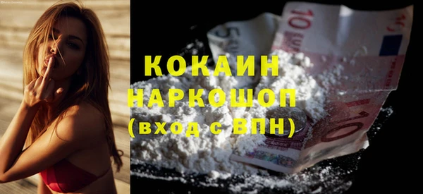 гидра Мегион