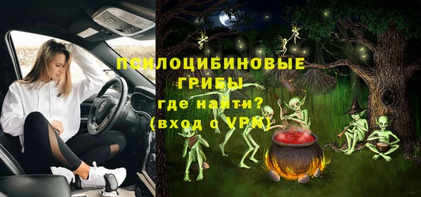 гидра Мегион