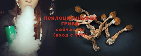 гидра Мегион