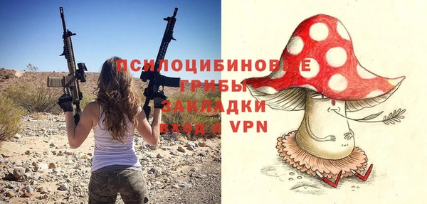гашик Медвежьегорск