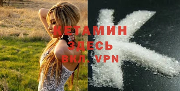 гидра Мегион