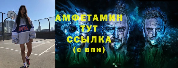 гидра Мегион