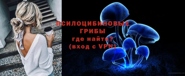 гашик Медвежьегорск