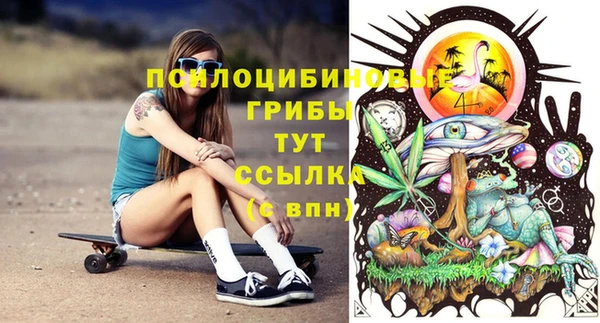 гидра Мегион