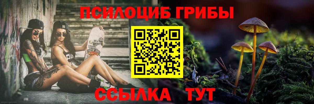 Галлюциногенные грибы GOLDEN TEACHER Шатура